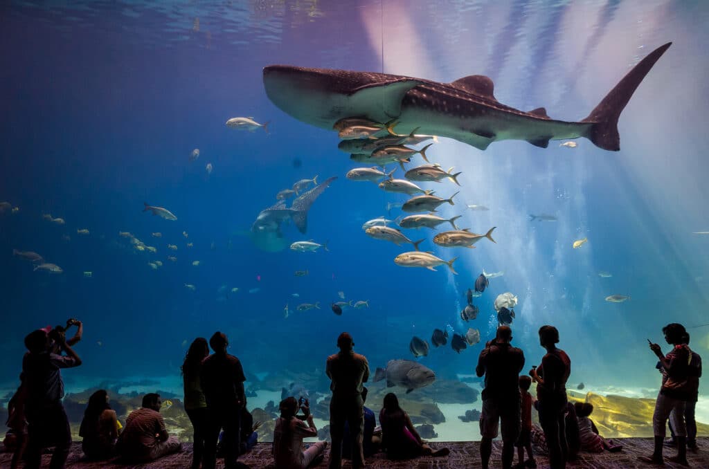 Vacation Escape Travel Reviews Highlights Of Visiting Atlanta